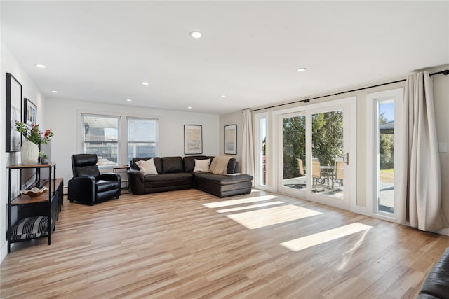 living room featuring light hardwood / wood-style flooring and a healthy amount of sunlight