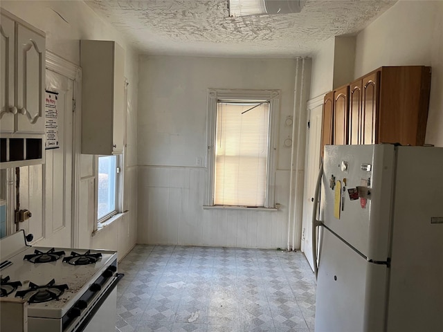 kitchen with plenty of natural light and white appliances