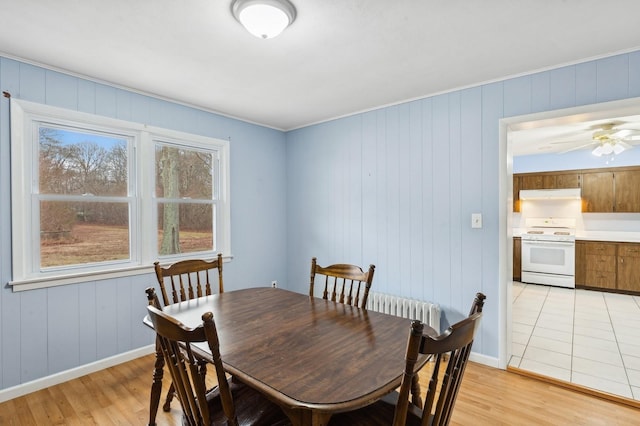 dining area with light hardwood / wood-style floors and ceiling fan