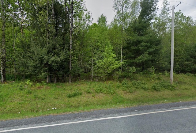 0 Harris-Bushville Rd, Bethel NY, 12720 land for sale