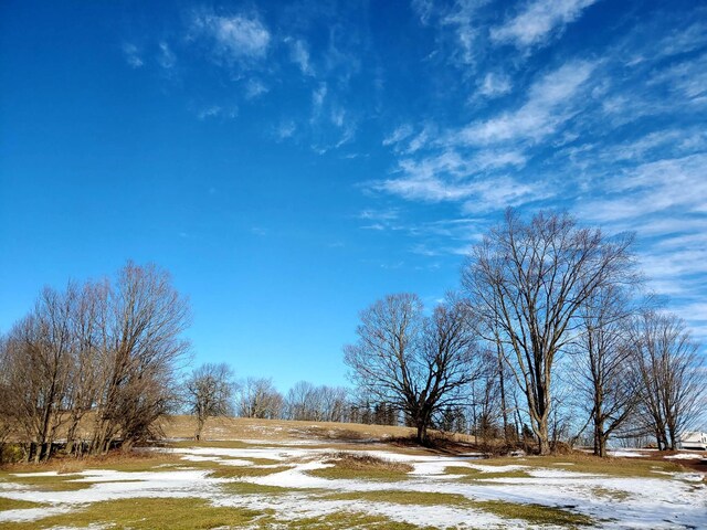 354 E Hill Rd, Jeffersonville, NY 12748 - photo 46