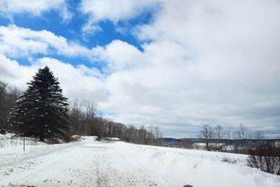 354 E Hill Rd, Jeffersonville, NY 12748 - photo 48