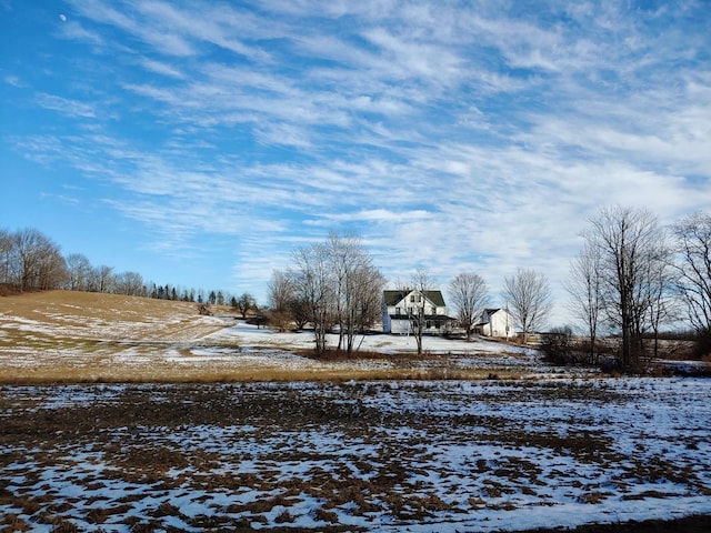 view of yard covered in snow