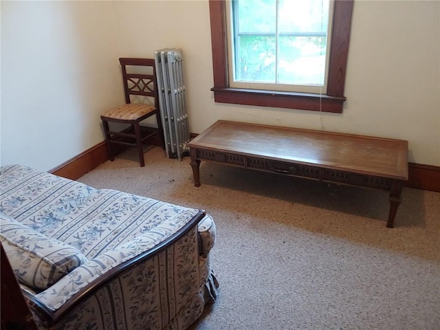 carpeted bedroom with radiator heating unit