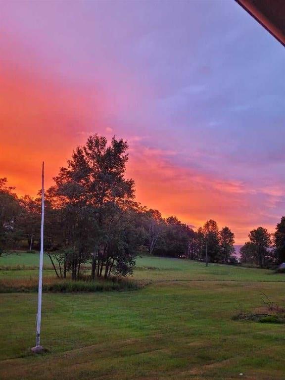 view of yard at dusk