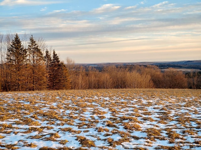 view of snowy landscape