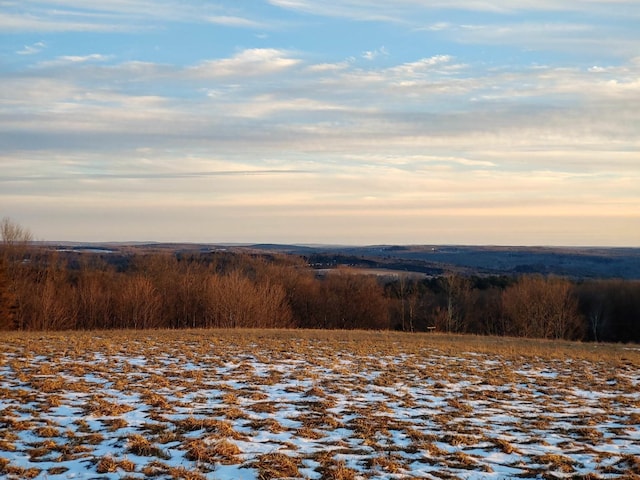 view of nature at dusk