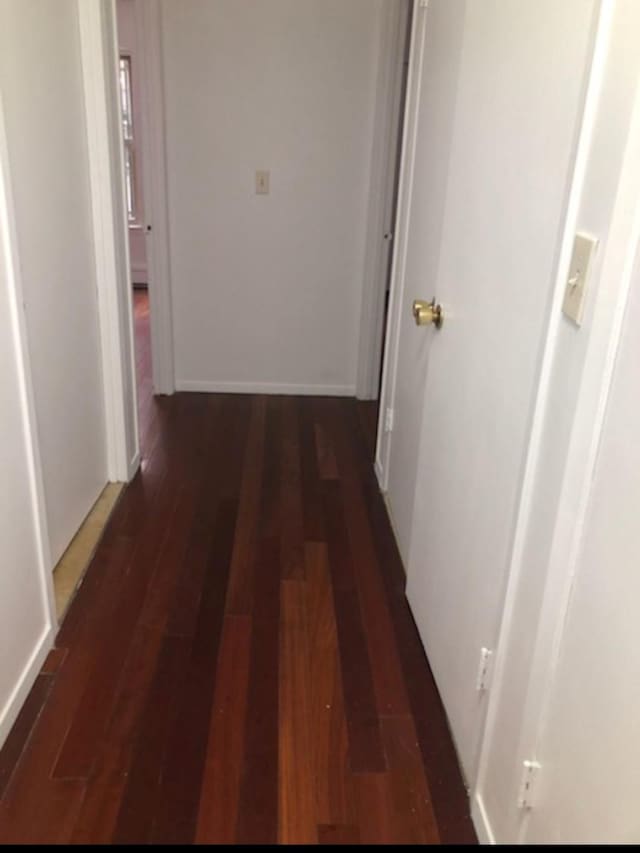 hall featuring dark hardwood / wood-style flooring