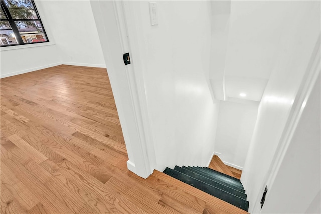 interior space with wood-type flooring