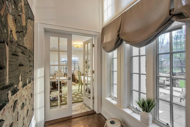 doorway to outside featuring dark wood-type flooring