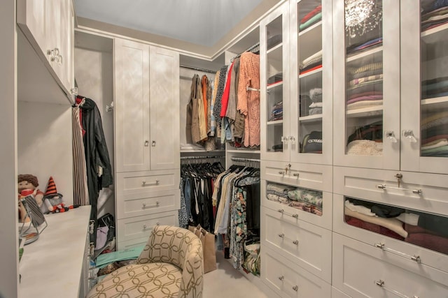 view of spacious closet