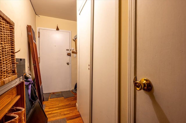 washroom featuring light wood-type flooring