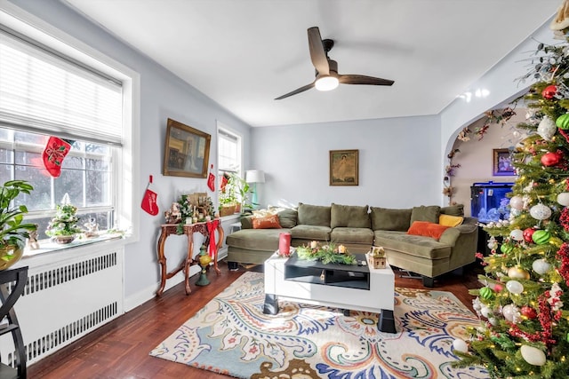 living room with plenty of natural light, ceiling fan, dark hardwood / wood-style flooring, and radiator heating unit