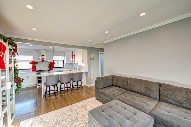 living room with hardwood / wood-style flooring, crown molding, and sink