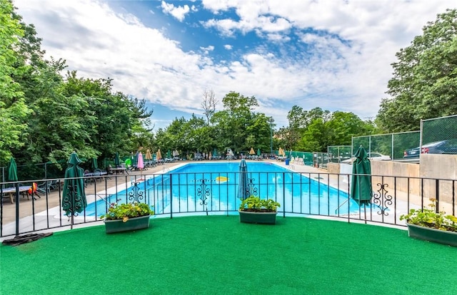 view of pool featuring a patio