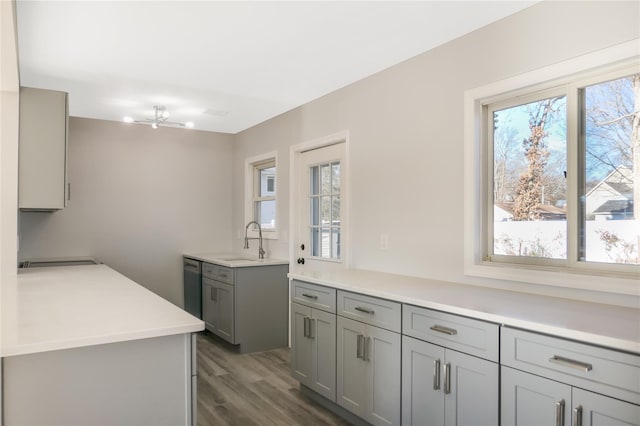 kitchen with a wealth of natural light, dark hardwood / wood-style floors, sink, and gray cabinetry