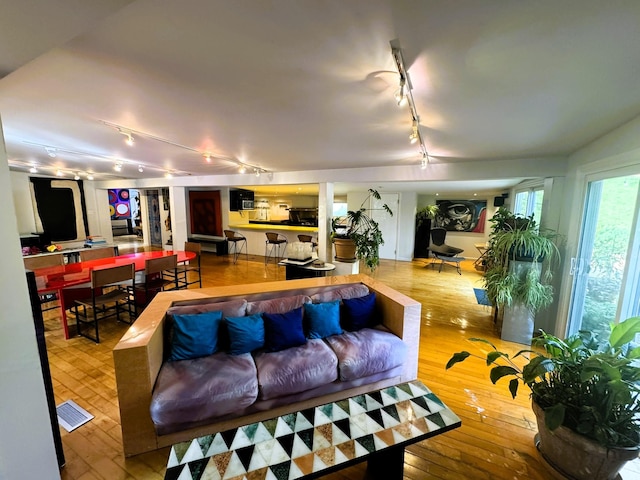 living room featuring wood-type flooring