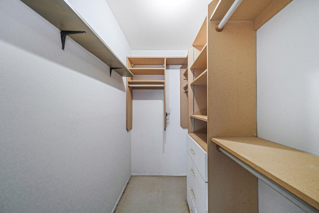 spacious closet with light colored carpet