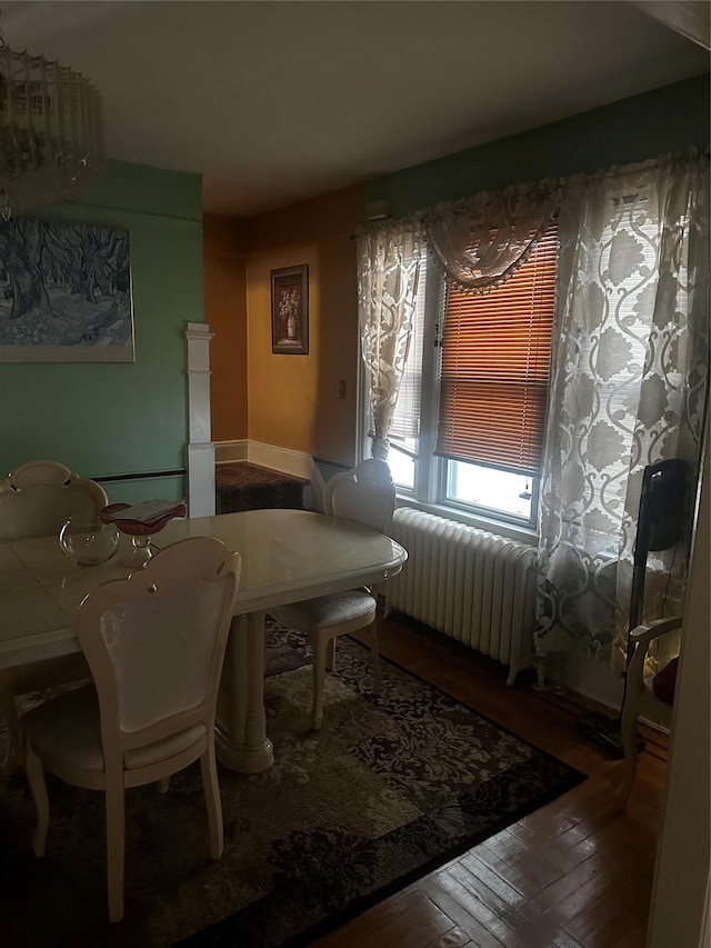 dining area with radiator and hardwood / wood-style flooring