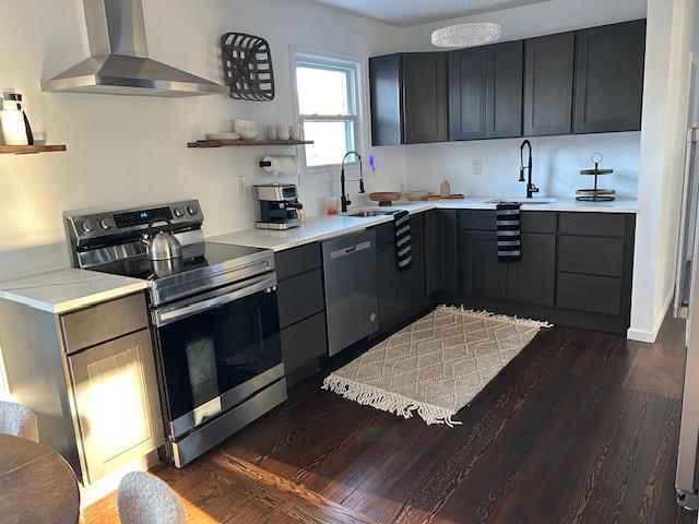 kitchen with dark hardwood / wood-style flooring, sink, wall chimney exhaust hood, and appliances with stainless steel finishes