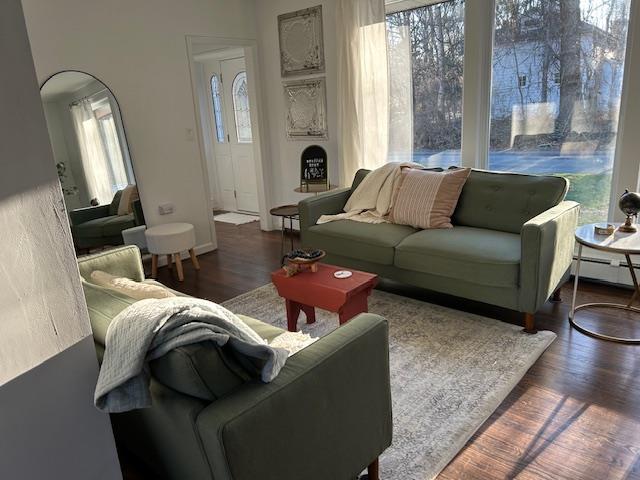 living room with dark hardwood / wood-style flooring, a wealth of natural light, and a baseboard radiator