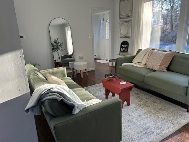 living room with dark hardwood / wood-style flooring