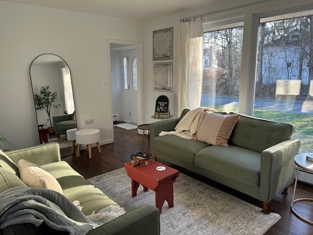 living room featuring dark hardwood / wood-style flooring