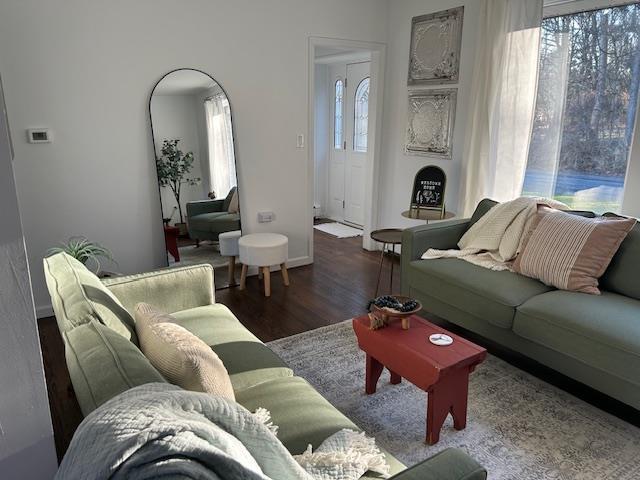 living room with dark hardwood / wood-style flooring and a healthy amount of sunlight