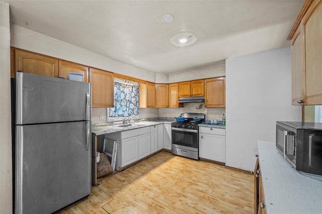 kitchen with sink, light hardwood / wood-style flooring, and appliances with stainless steel finishes