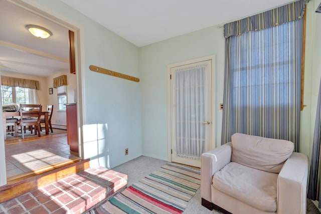 living area featuring a baseboard radiator