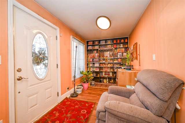 living area featuring hardwood / wood-style floors