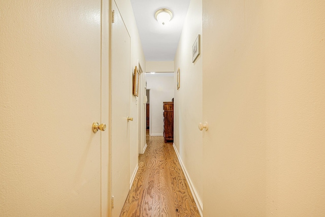 hallway featuring light hardwood / wood-style flooring