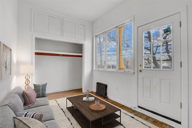 living room featuring radiator, plenty of natural light, and light hardwood / wood-style floors