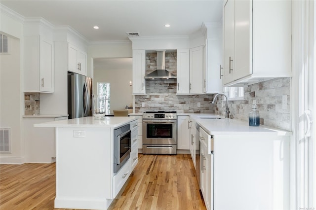 kitchen with white cabinetry, sink, wall chimney exhaust hood, and stainless steel appliances