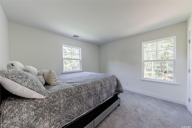 bedroom with multiple windows and carpet floors