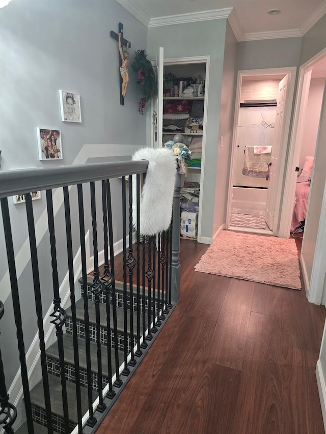 hallway with crown molding and dark hardwood / wood-style floors