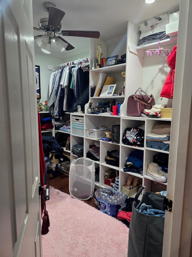 spacious closet with ceiling fan