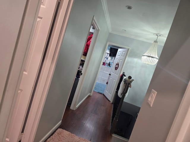 hallway featuring crown molding, dark hardwood / wood-style floors, and a notable chandelier