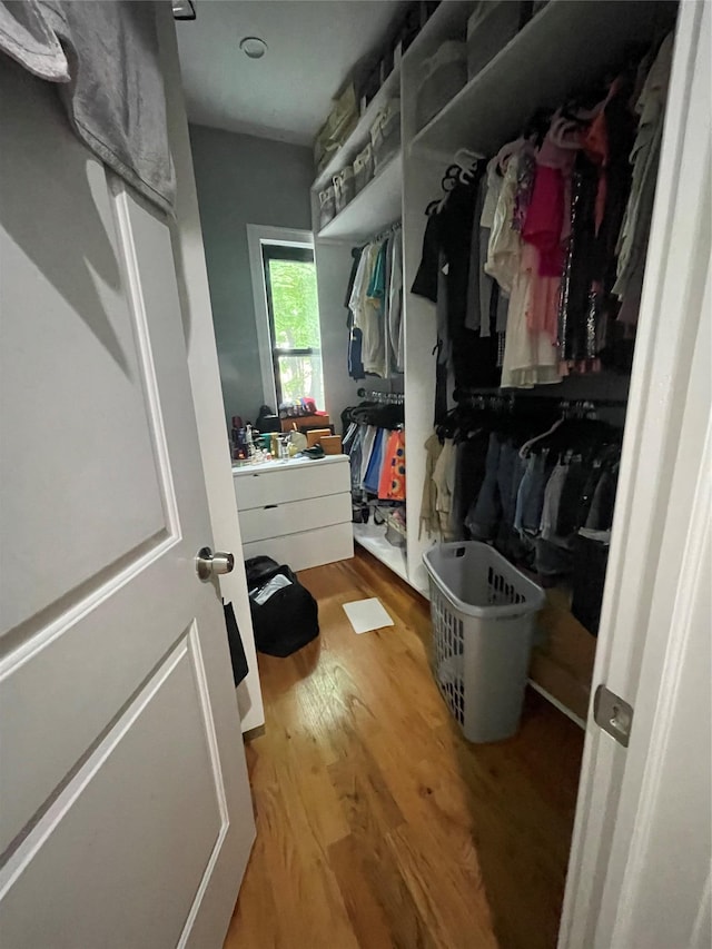 spacious closet with hardwood / wood-style floors