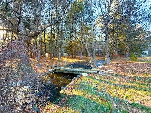 view of yard featuring a boat dock