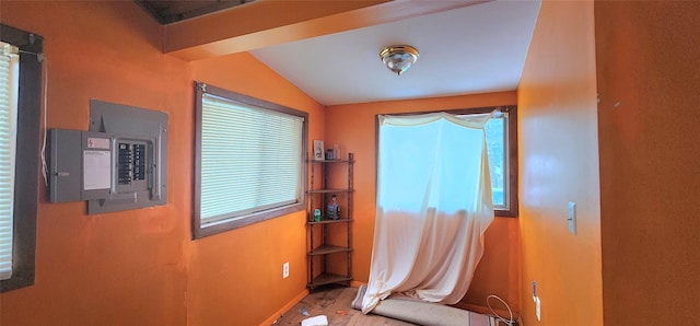 living area featuring electric panel and vaulted ceiling