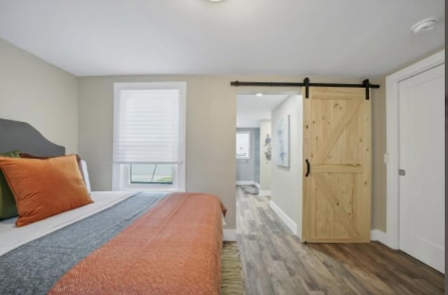 47 Prince St, Middletown, NY 10940 - bedroom with wood finished floors, a barn door, and baseboards