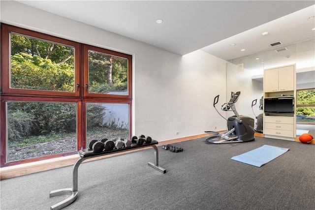 workout area featuring carpet