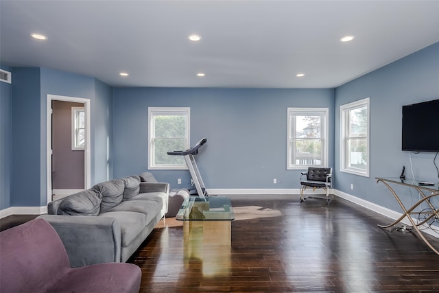 living room featuring dark hardwood / wood-style flooring