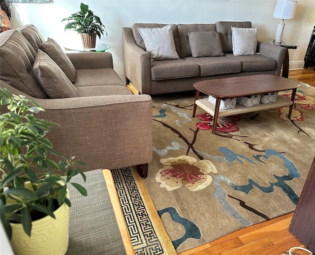 living room with hardwood / wood-style flooring