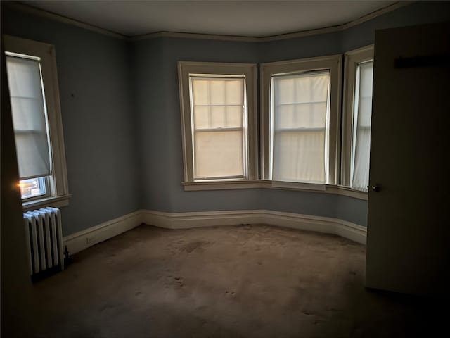 spare room with carpet floors, crown molding, and radiator