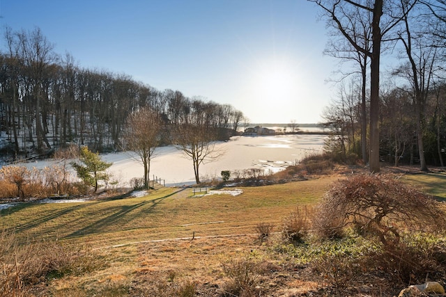 19 Mallard Dr, Lloyd Harbor, NY 11743 - photo 43
