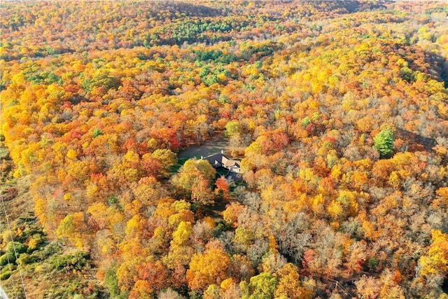 bird's eye view