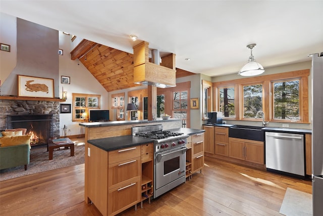 kitchen with light wood finished floors, a fireplace, appliances with stainless steel finishes, and a sink