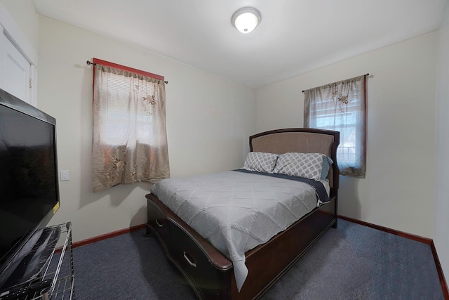 carpeted bedroom with multiple windows